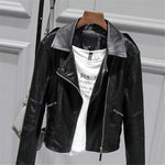 Ladies Motorcycle Leather & Suede